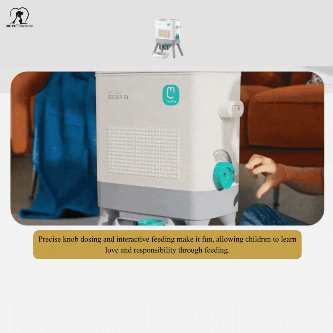 The Artisan™ Customizable Paw - Activated Station