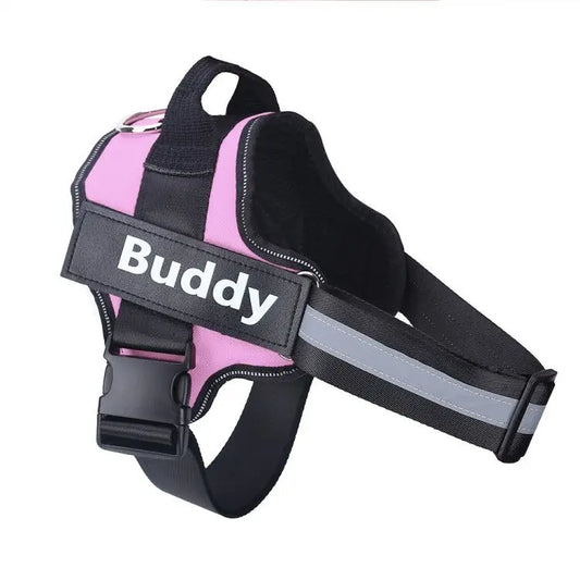 Dog wearing adjustable no-pull harness with reflective strips