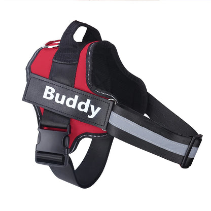 Dog wearing adjustable no-pull harness with reflective strips