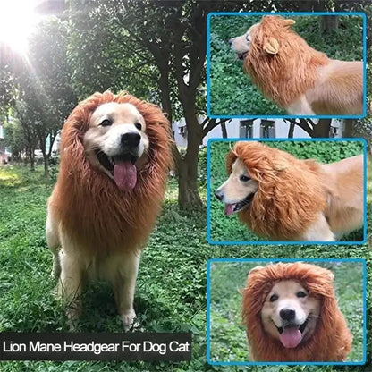 Dog wearing a fluffy lion mane costume hat.