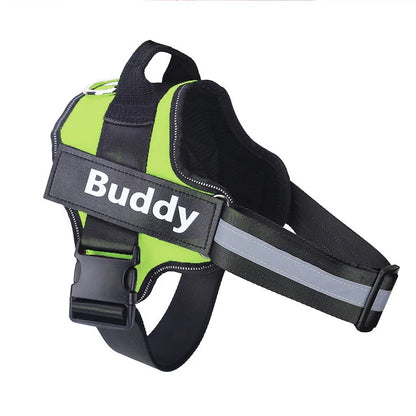 Dog wearing adjustable no-pull harness with reflective strips