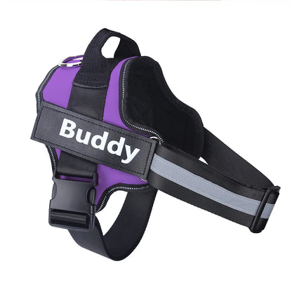 Dog wearing adjustable no-pull harness with reflective strips