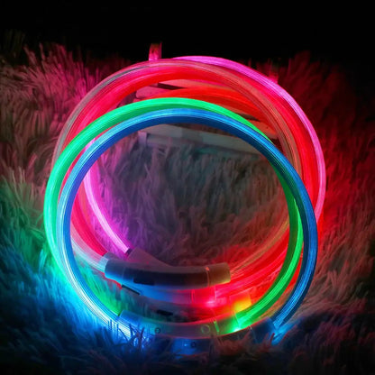 Rechargeable LED dog collar glowing in the dark, designed for safe and visible nighttime walks.