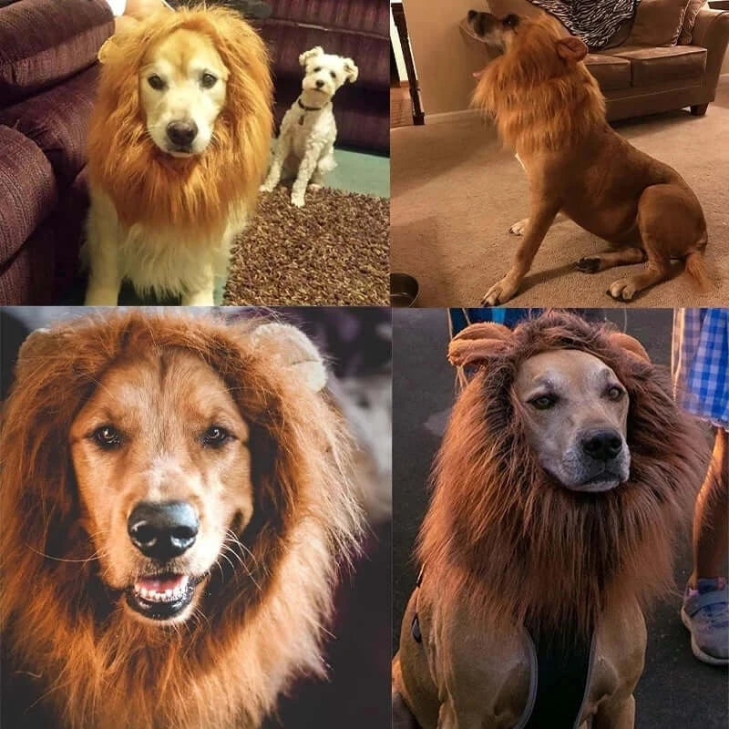 Funny lion mane hat for dogs and cats, perfect for cosplay and festive celebrations, includes a matching tail for a complete look.