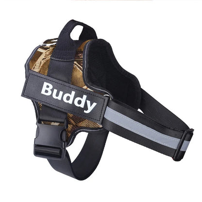 Dog wearing adjustable no-pull harness with reflective strips