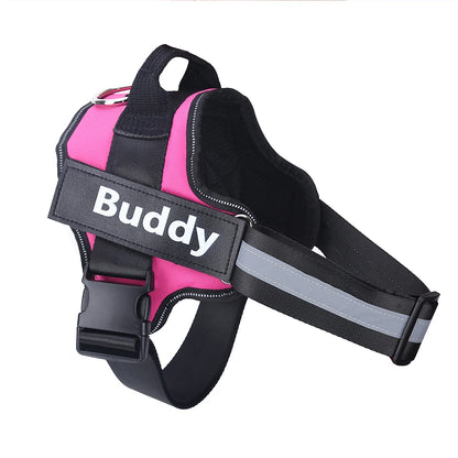 Dog wearing adjustable no-pull harness with reflective strips
