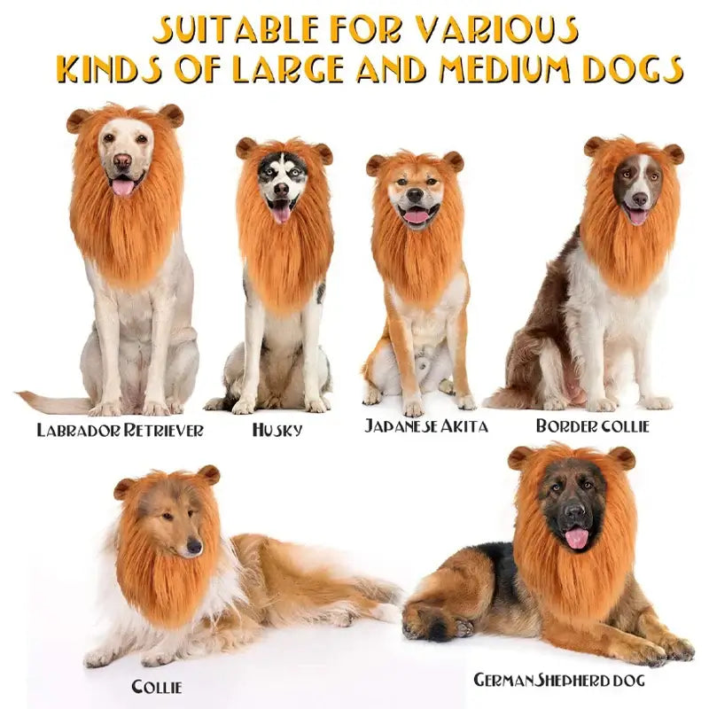 Funny lion mane hat for dogs and cats, perfect for cosplay and festive celebrations, includes a matching tail for a complete look.