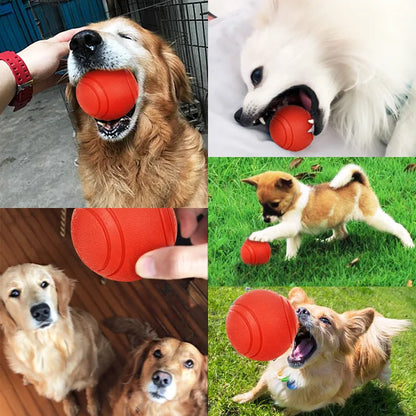 Durable red rubber dog ball made from TPR, designed for strong chewers and active dogs, available in multiple sizes.