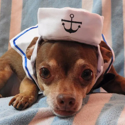 Cat wearing a funny navy sailor costume with a sailor hat and collar, looking stylish and adorable.