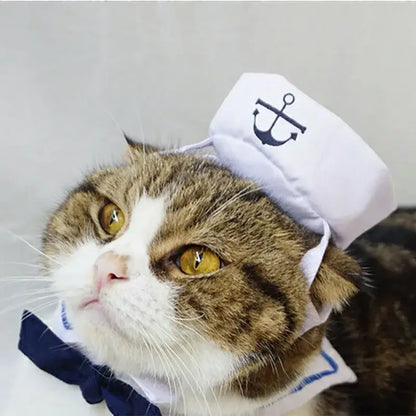 Cat wearing a funny navy sailor costume with a sailor hat and collar, looking stylish and adorable.