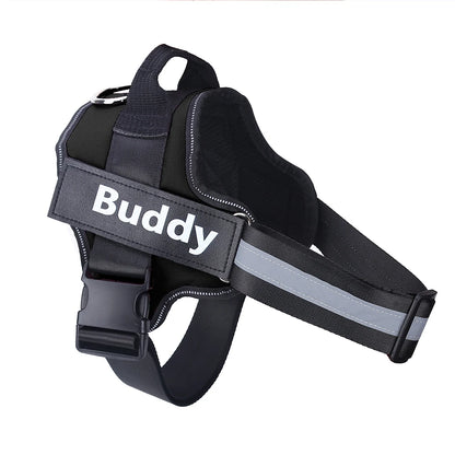 Dog wearing adjustable no-pull harness with reflective strips