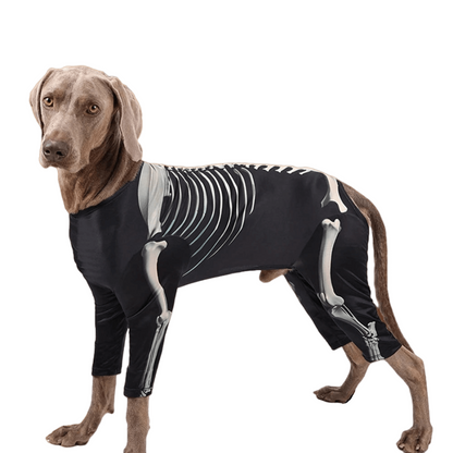 Medium-sized dog wearing a black Halloween skeleton costume with white bone print, standing on a decorated floor.