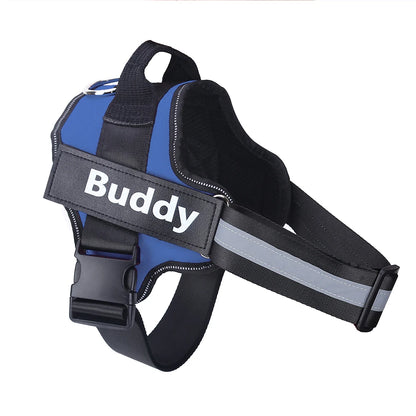 Dog wearing adjustable no-pull harness with reflective strips