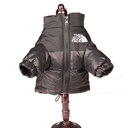 Reflective winter dog jacket for French Bulldogs and Chihuahuas