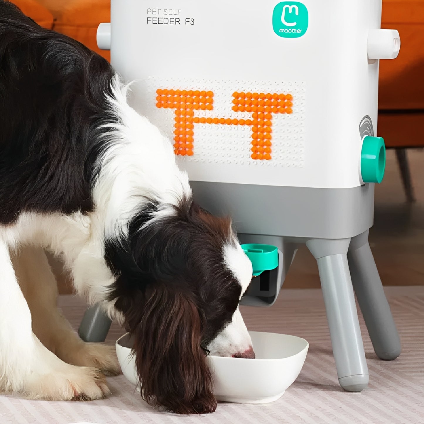 The Artisan™ Customizable Paw - Activated Station