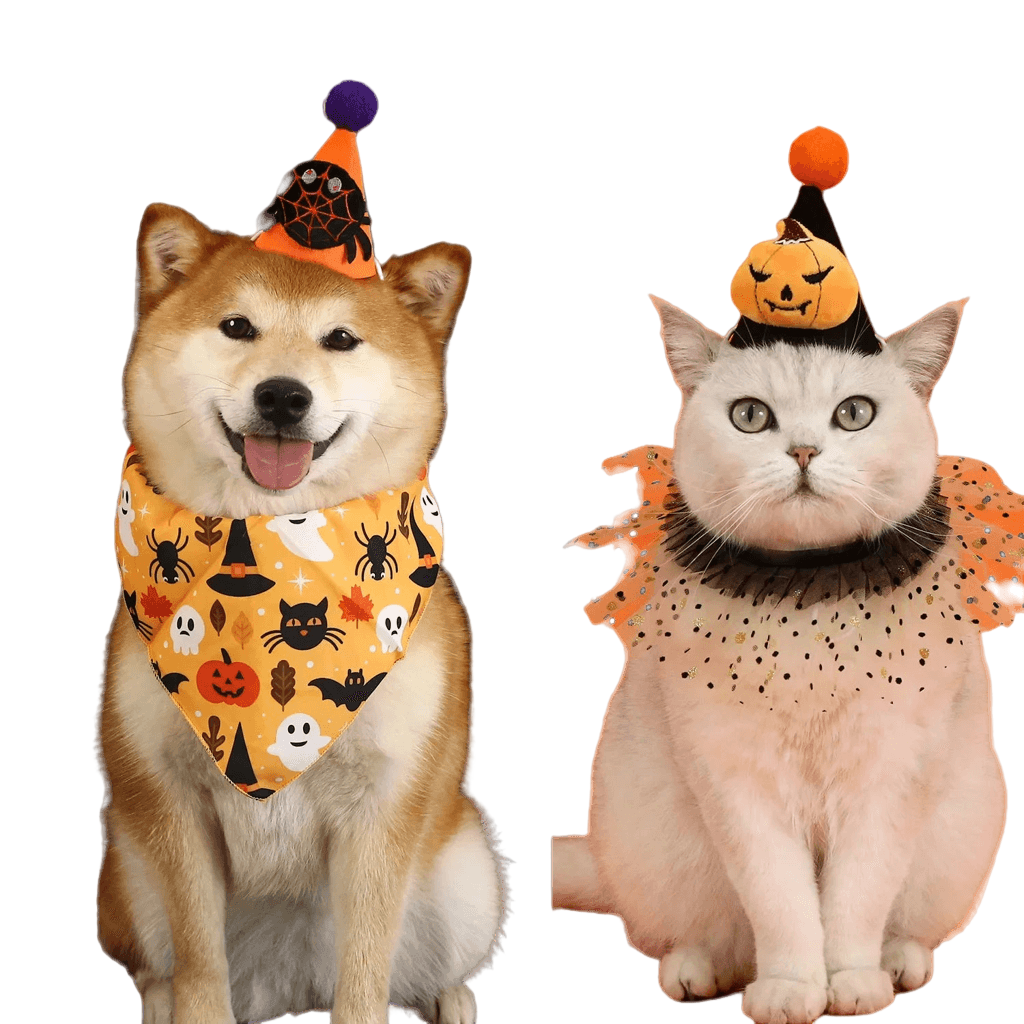 Pet Halloween set with bat, spider, pumpkin hat, headband, lace bib, and triangular scarf for cats and dogs.