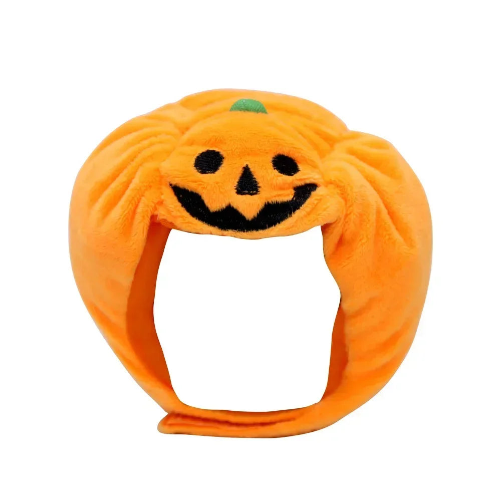 Pet headdress featuring a cute pumpkin design, perfect for small dogs and cats during Halloween festivities