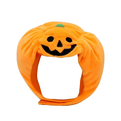 Small dog or cat wearing a festive Halloween pumpkin hat with green stem