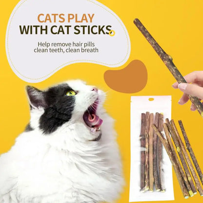 Natural cat mint sticks for chewing and dental care in cats