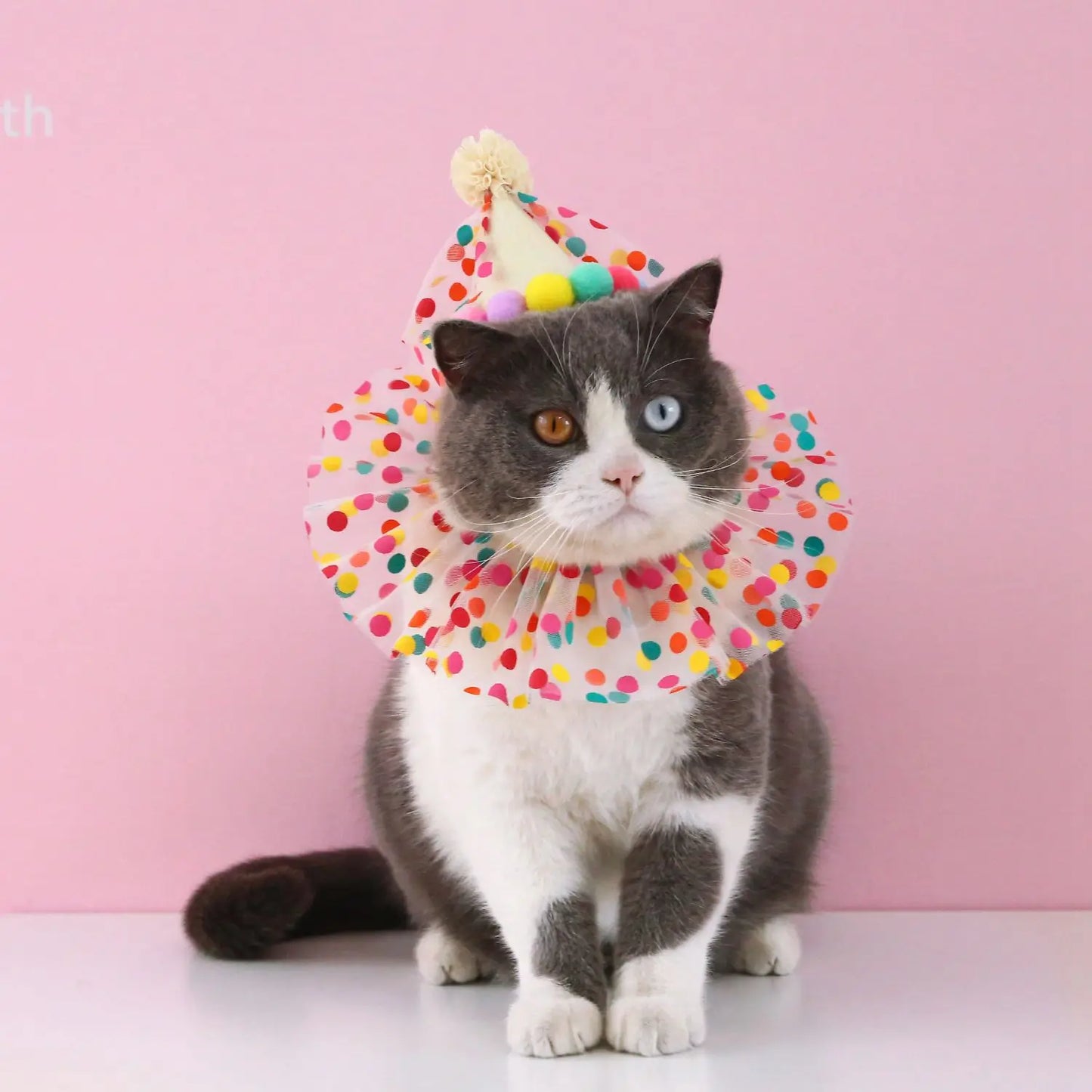 Pet wedding crown with veil, featuring lace, sequins, and pearls – bridal headdress for cats and small dogs