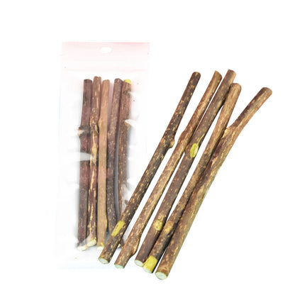 Natural cat mint sticks for chewing and dental care in cats
