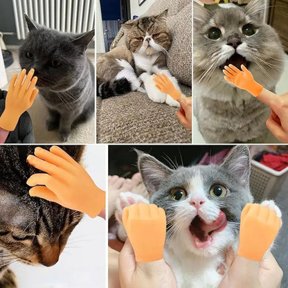 Mini hand finger sleeves massaging a cat with soft silicone gloves.