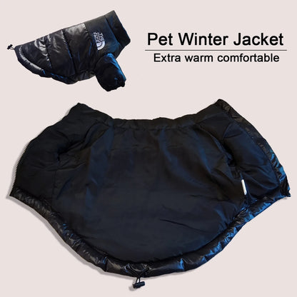 Reflective winter dog jacket for French Bulldogs and Chihuahuas