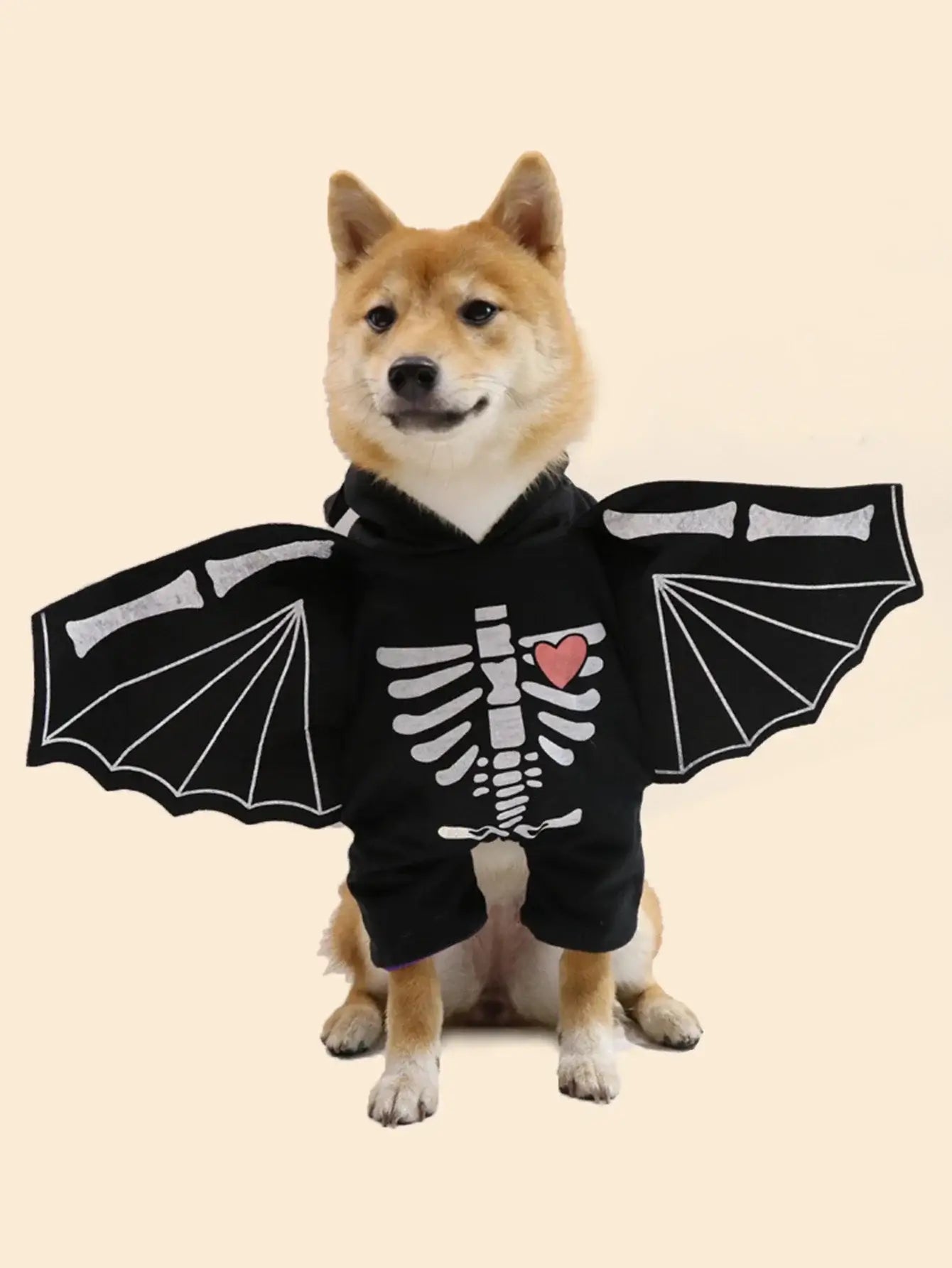 Dog wearing Halloween bat wings costume for small, medium, and large dogs