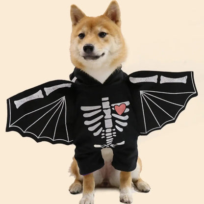 Dog wearing black bat wings costume, posing for Halloween in a spooky setting.