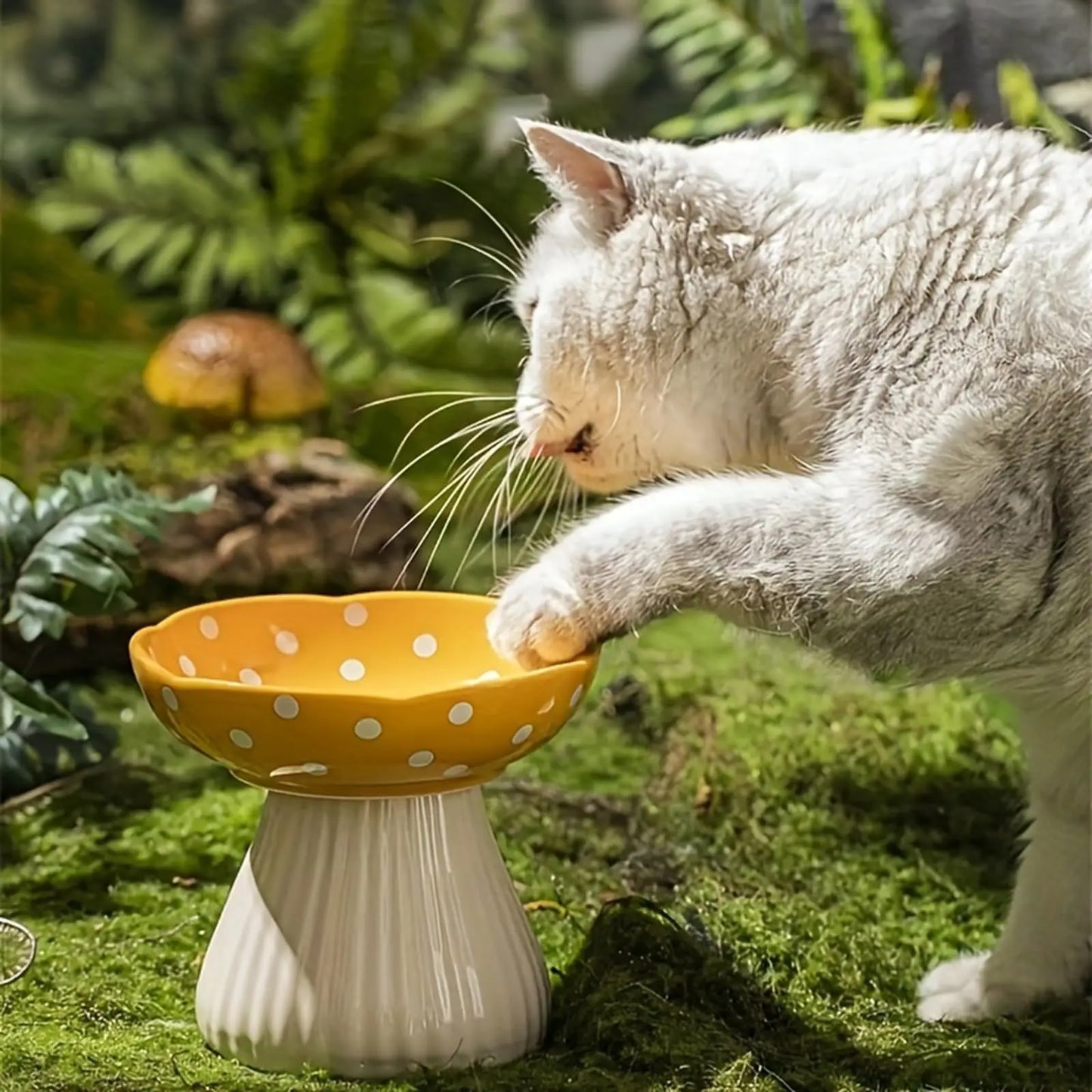tilted pet feeder for flat-faced cats
