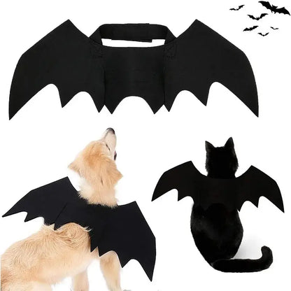 Cat wearing bat wing costume for Halloween.