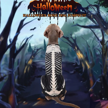 Medium-sized dog wearing a black Halloween skeleton costume with white bone print, standing on a decorated floor.