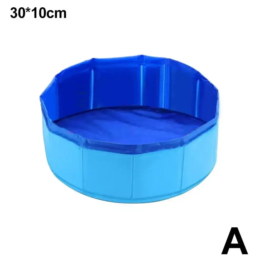 Pet playing in a water pool with floating toys for summer fun
