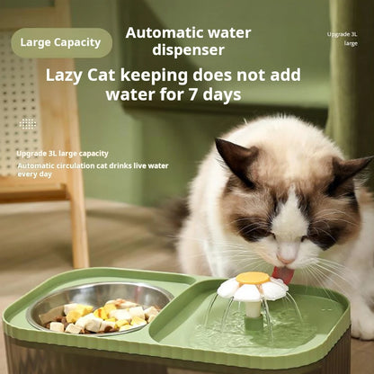 2-in-1 automatic water fountain and food bowl for cats and dogs promoting hydration and easy feeding