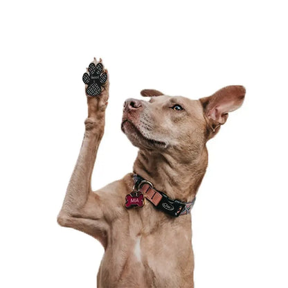 4-pack dog anti-slip paw grips with adhesive backing for indoor traction and paw protection.