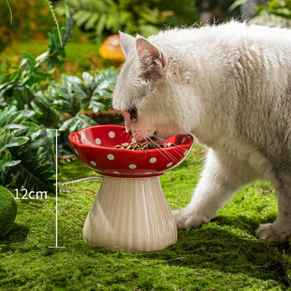 tilted pet feeder for flat-faced cats