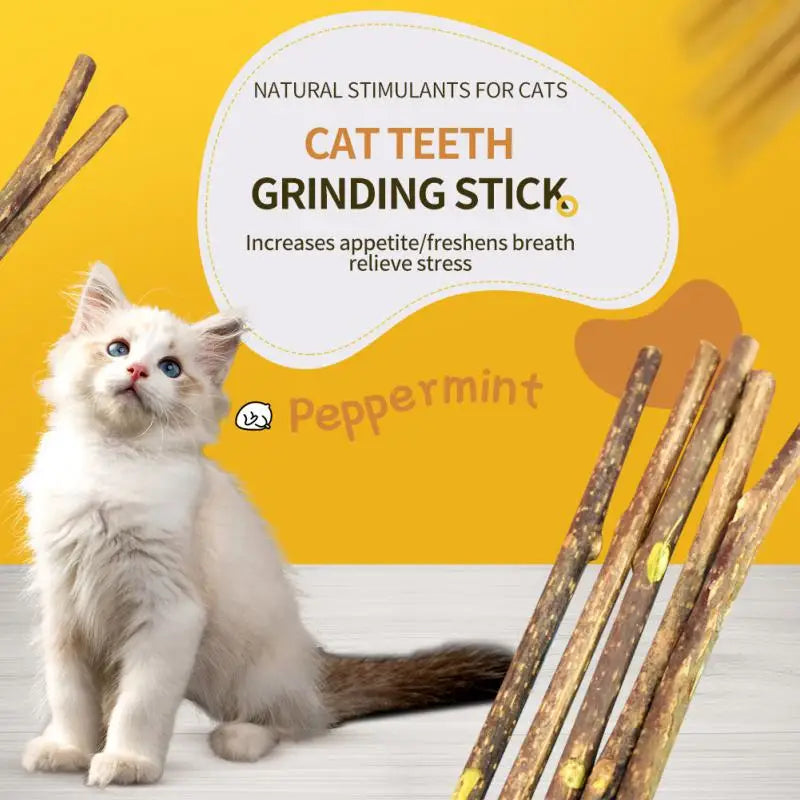 Natural cat mint chew sticks for dental health and entertainment.