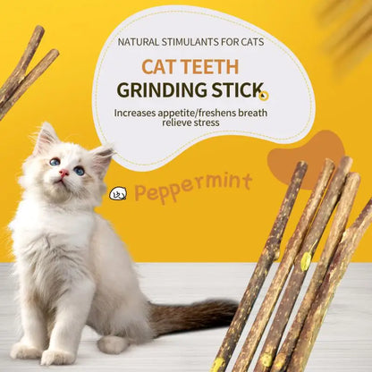Natural cat mint sticks for chewing and dental care in cats