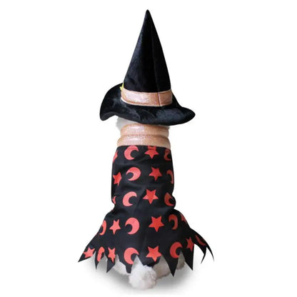Pet wearing Halloween and Christmas knitted sweaters, featuring festive designs for dogs and cats.
