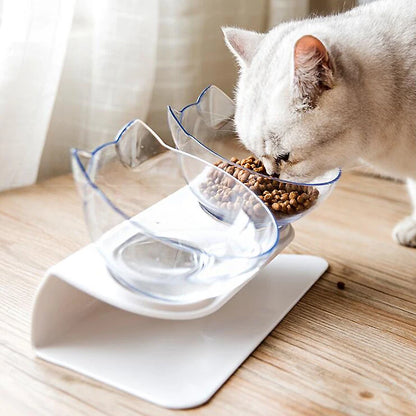 Elevated non-slip cat bowl set with angled dual bowls for food and water
