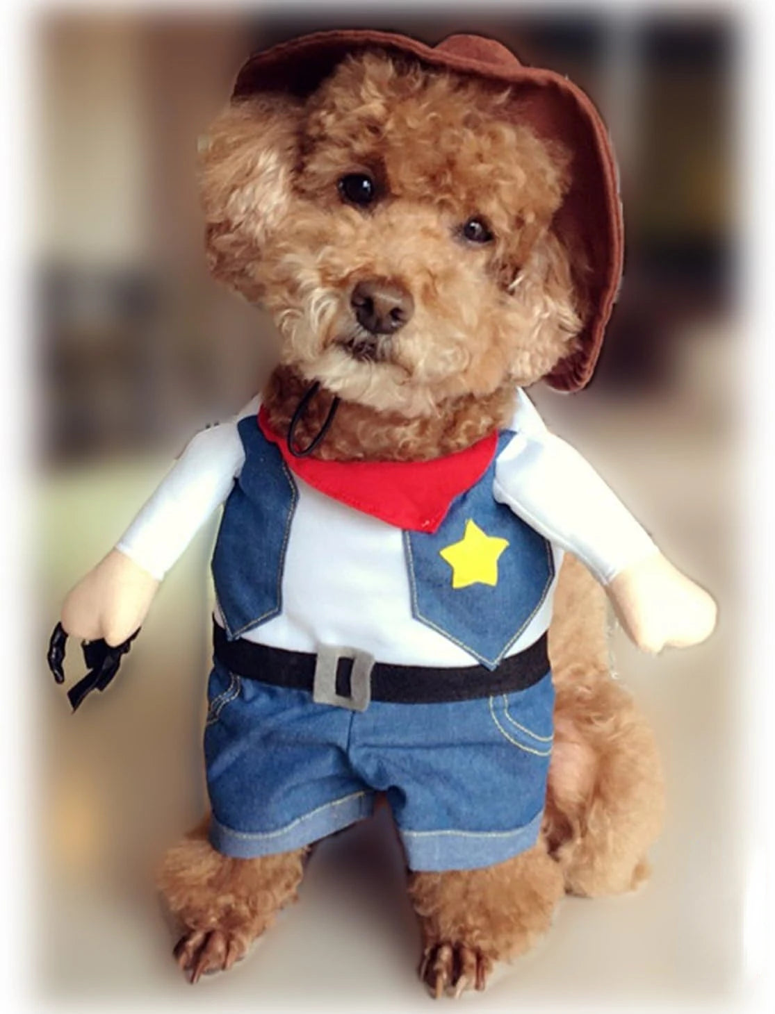 Pet Dog Cat Cowboy Costume with Denim Jacket and Hat – Funny Pet Halloween Costume for Cats and Small Dogs