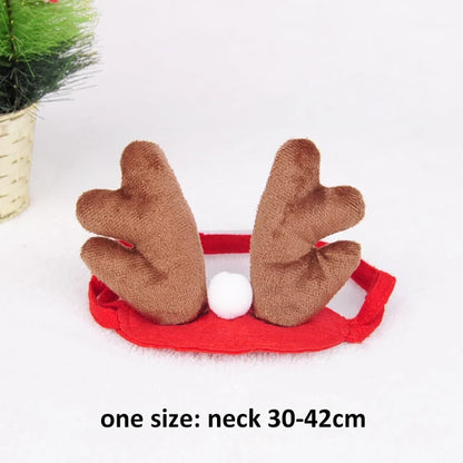 Adorable cat wearing reindeer antlers, Santa hat, red scarf, and holiday cloak for Christmas celebrations