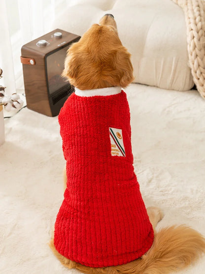 Large dog wearing red Christmas sweater for winter and holiday celebrations