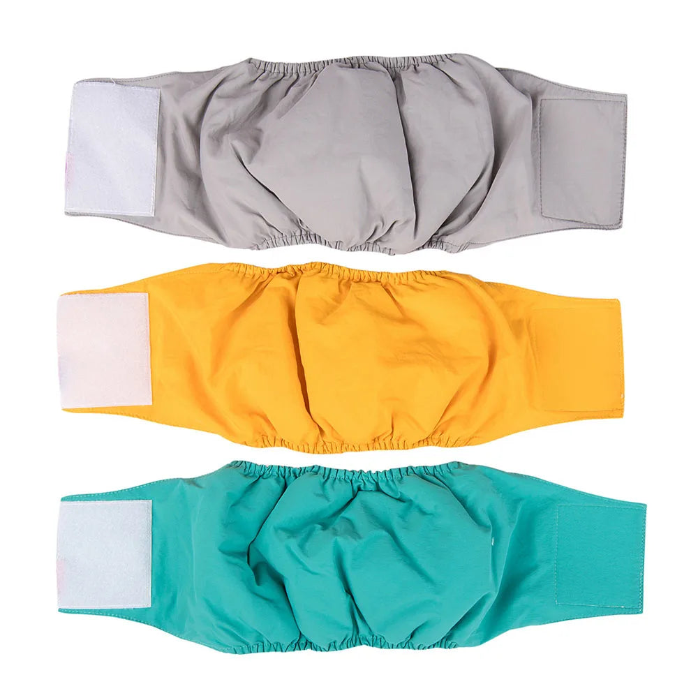 Male dog wearing washable sanitary belly wrap for training