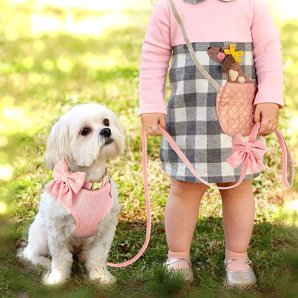 Cute bowknot dog collar harness leash set with bowtie, adjustable and soft for small and medium dogs, perfect for outdoor walking.