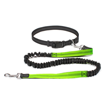 Hands-free dog leash with adjustable waist belt and dual-bungee shock absorber, designed for jogging and running with dogs safely and comfortably.