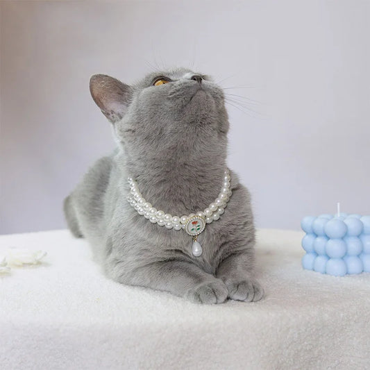 Small dog wearing gem pendant pearl necklace with lace accents