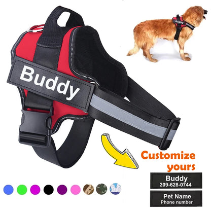Dog wearing adjustable no-pull harness with reflective strips