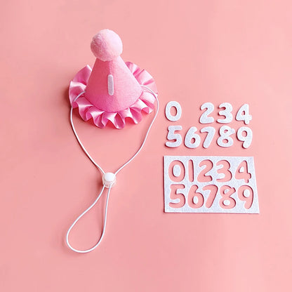 Small dog wearing birthday scarf and hat set for celebration or party