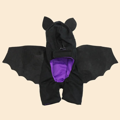 Dog wearing black bat wings costume, posing for Halloween in a spooky setting.